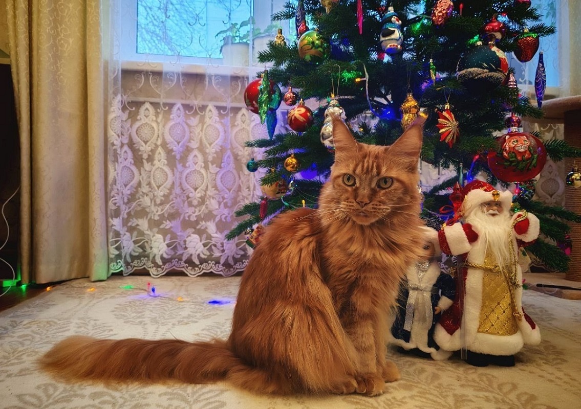    От бьющихся игрушек на ёлке лучше отказаться