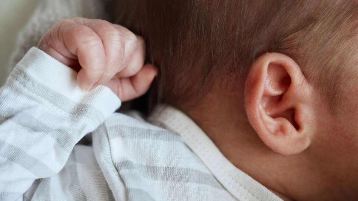    Фото: StoryTime Studio/Shutterstock/Fotodom