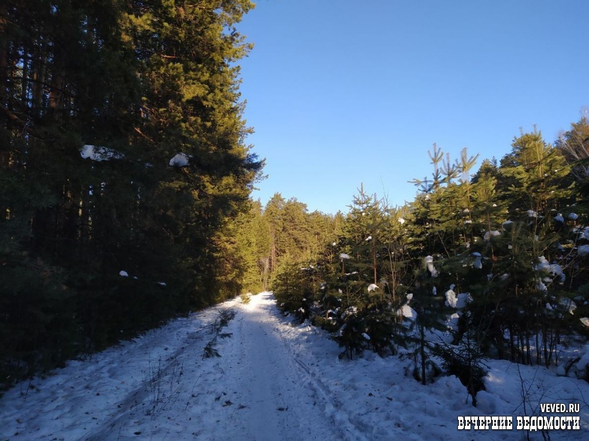     Фото: Юлия Кольтенберг / Вечерние ведомости
