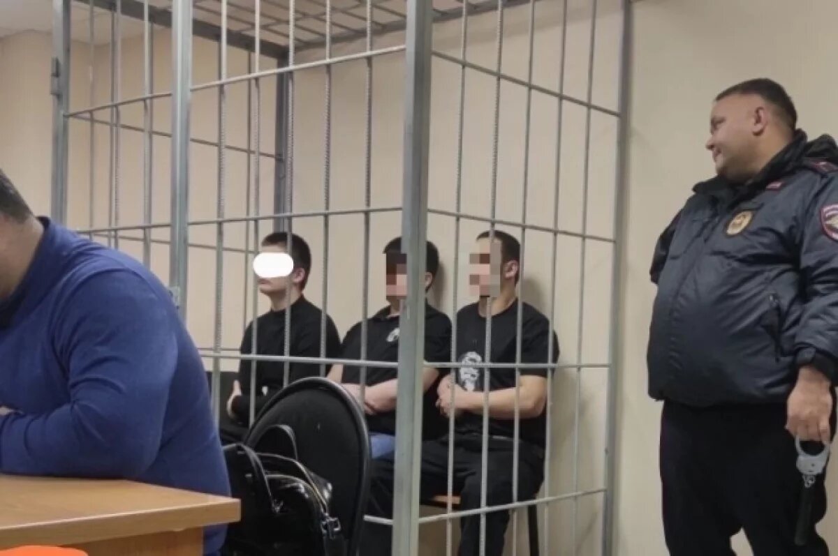    Иностранцы, напавшие на депутата Матвеева, отрицают покушение на убийство