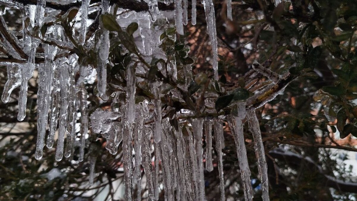    Фото: телеканал «Краснодар»