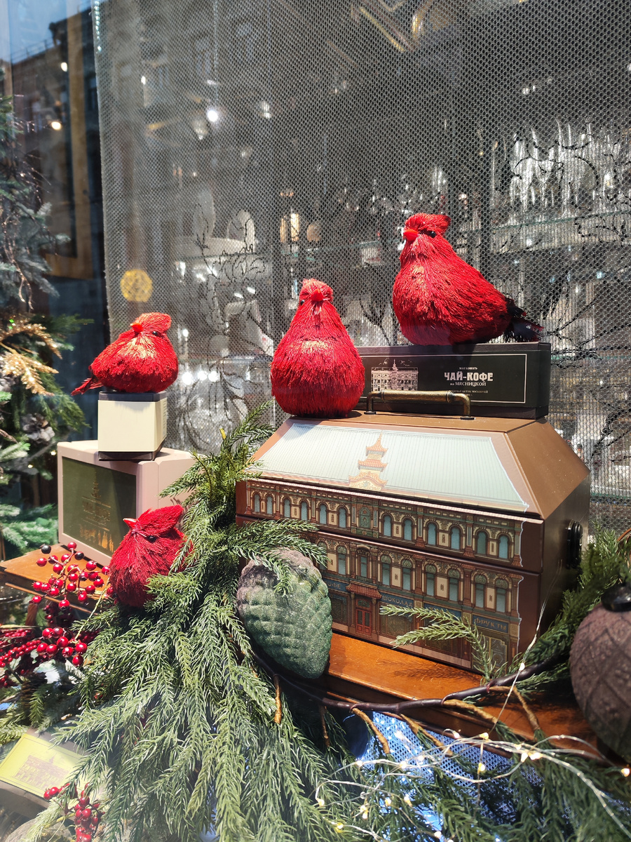 Красные кардиналы в витрине магазина на Чистых прудах 