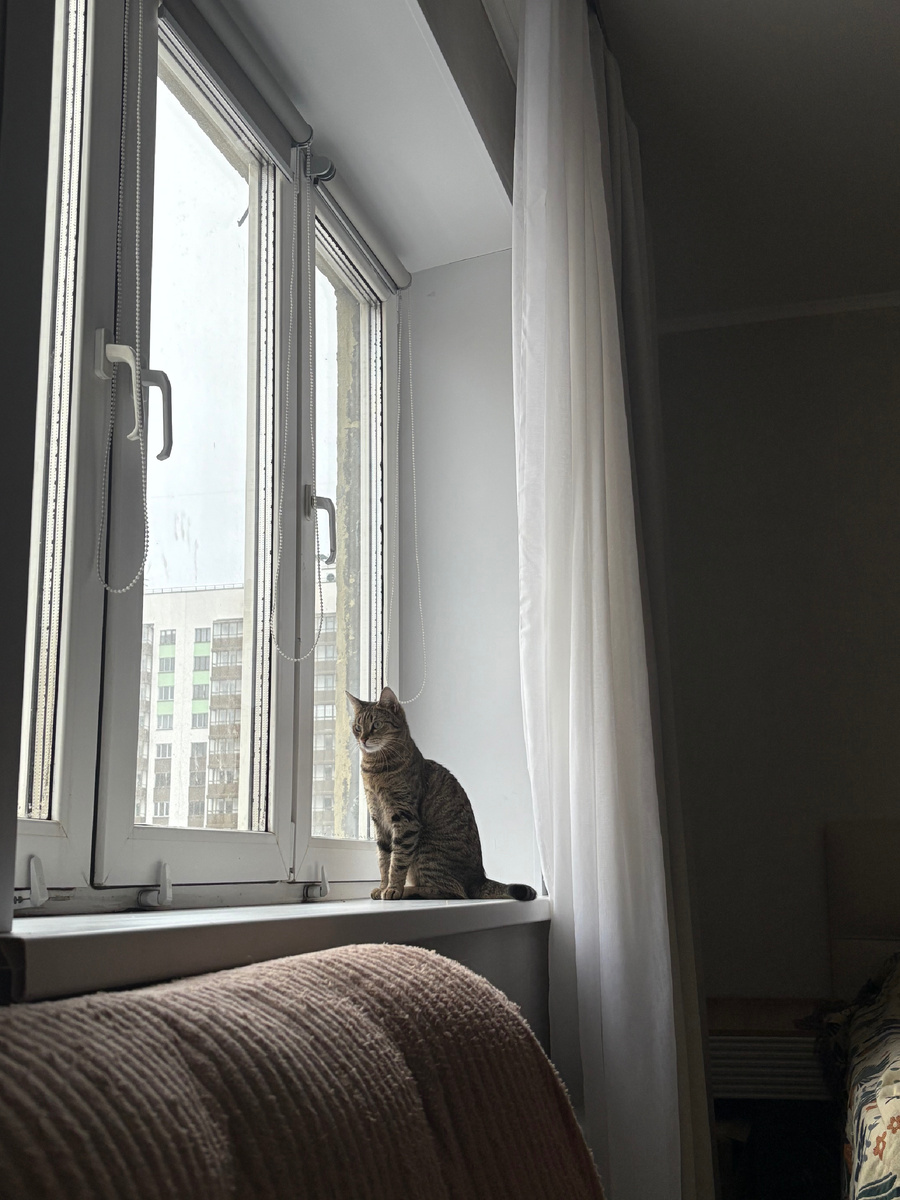 Без петухов-чаек грустно 