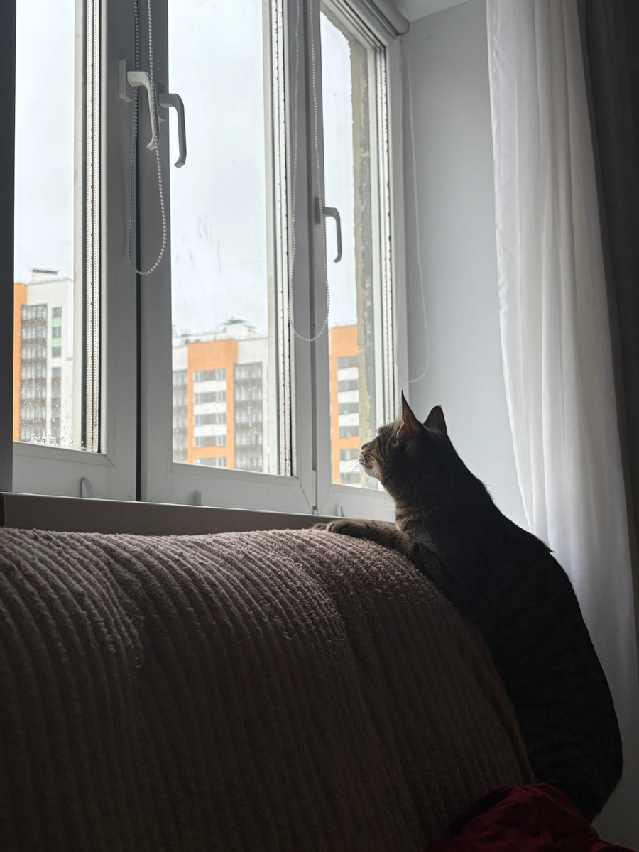 А нет-нет, погодите, кто-то летит к нам по старой памяти