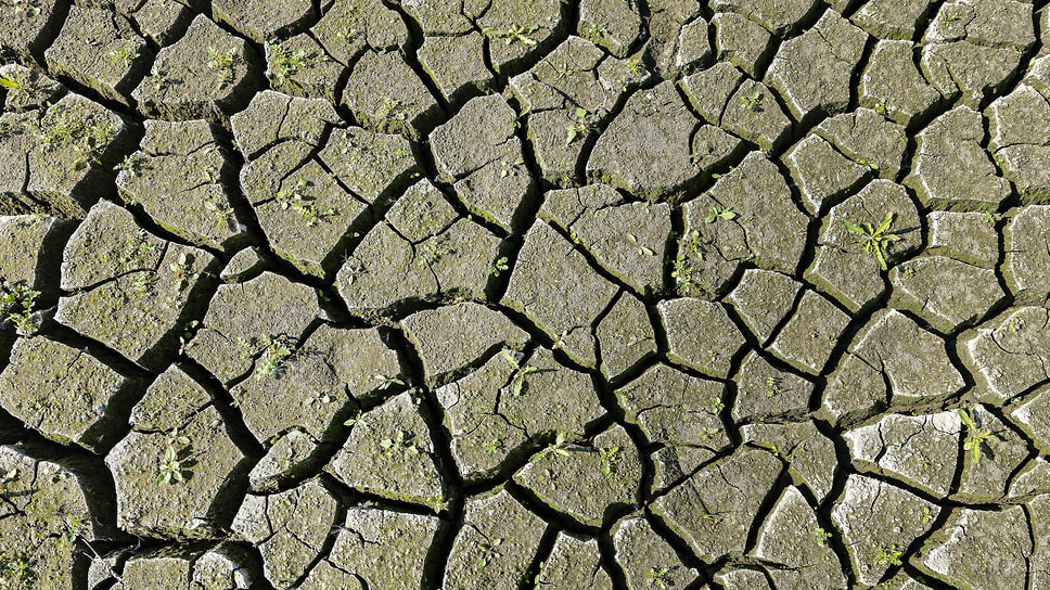 Фото: Алексей Смышляев / Коммерсантъ