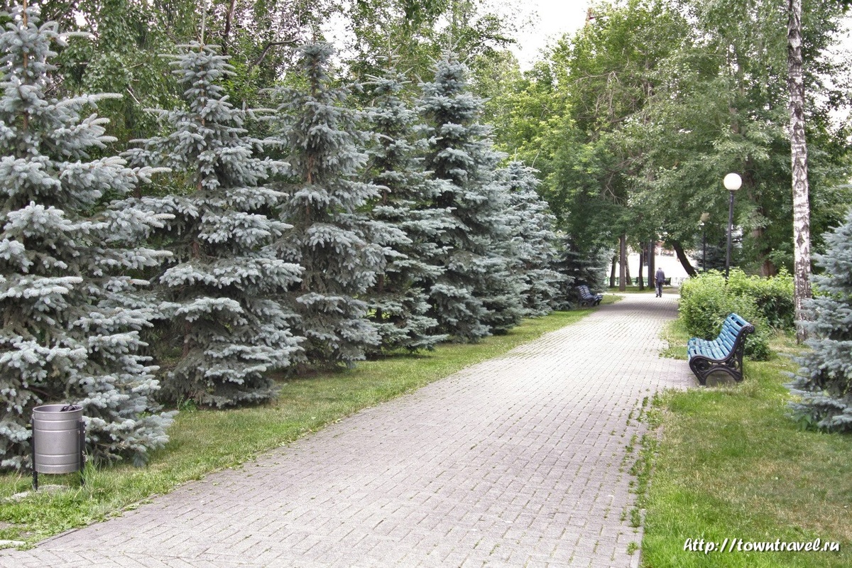 картинка из интернета