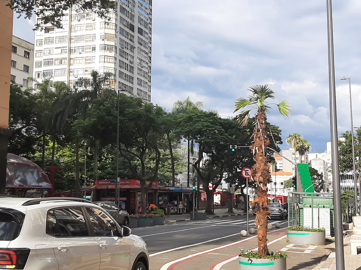 Улица Кампинаса.