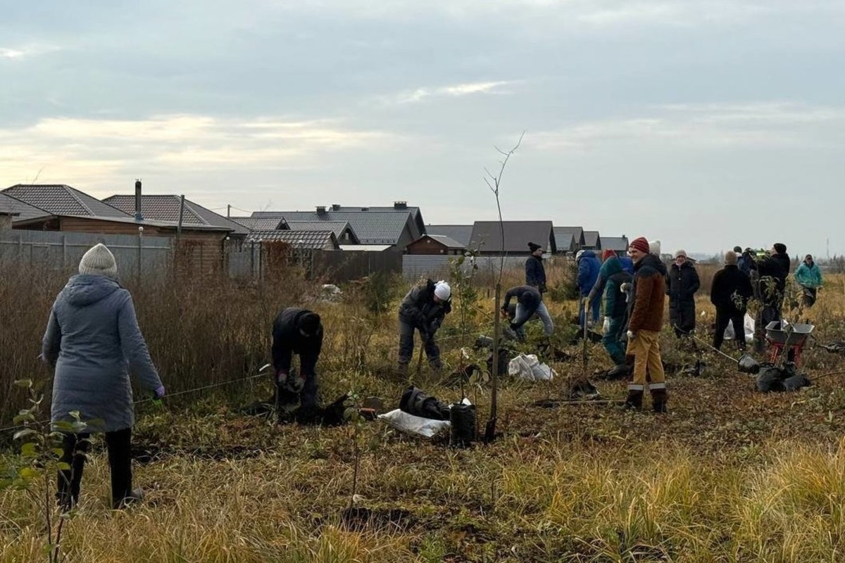   предоставлено АМО РТ