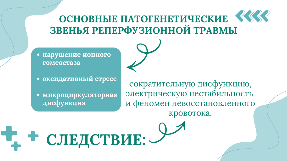 Основные "звенья" повреждения через реперфузию