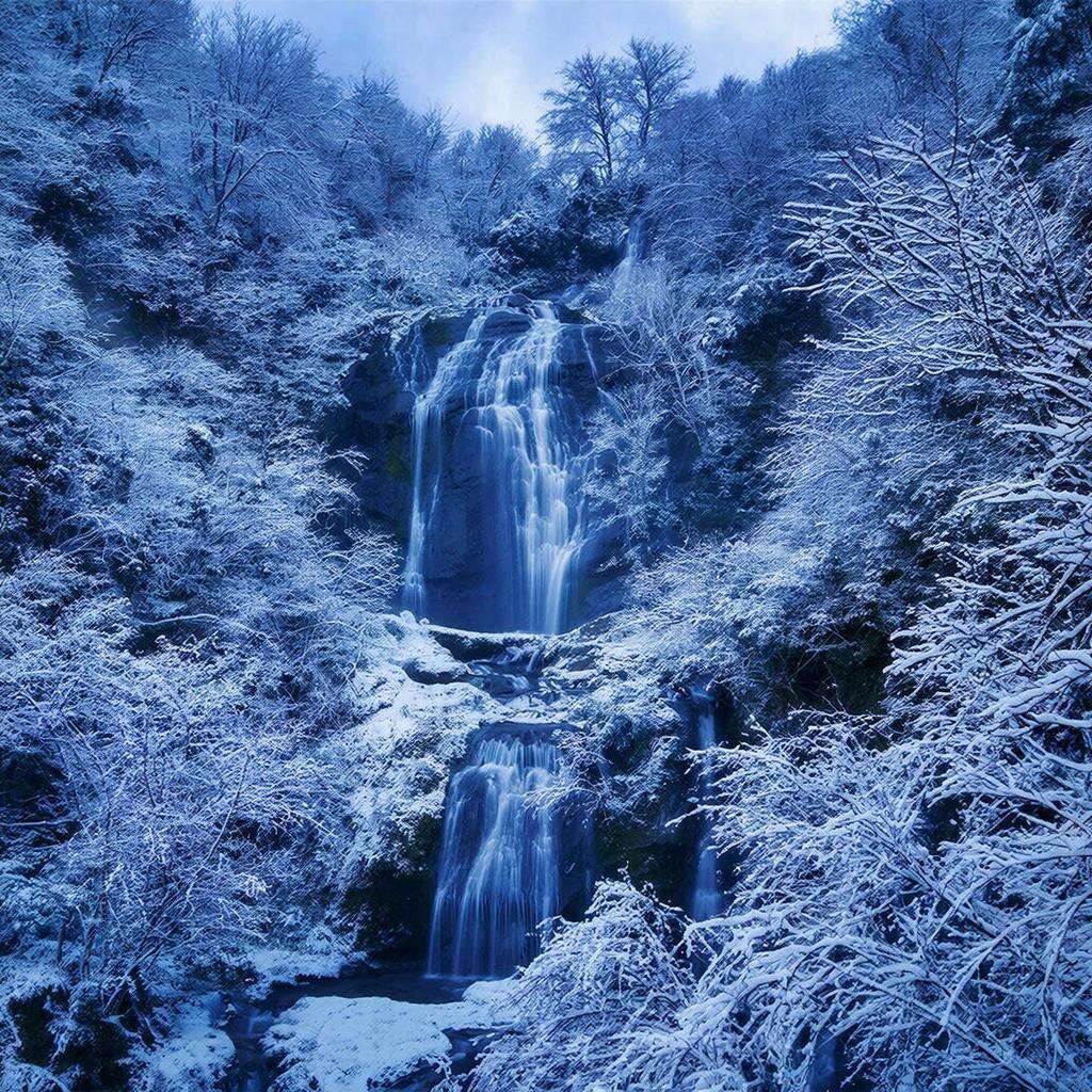 Kandinsky (ГигаЧат)