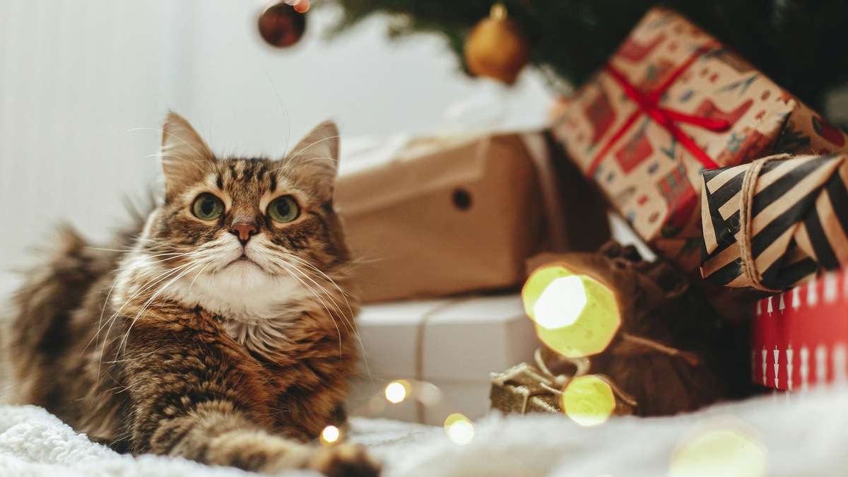    Праздничная атмосфера должна быть безопасной для каждого члена семьи