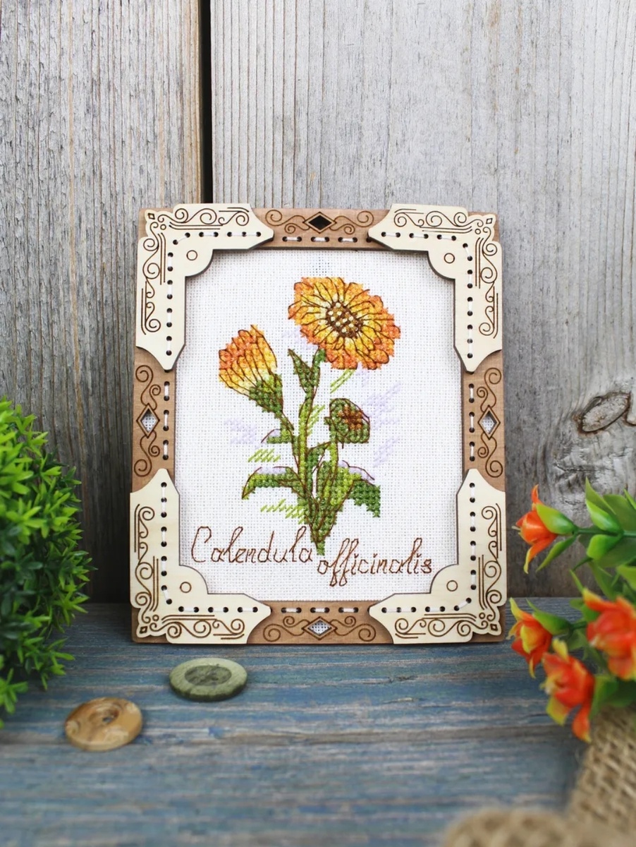 Календула такая хорошенькая, прям как настоящая! 