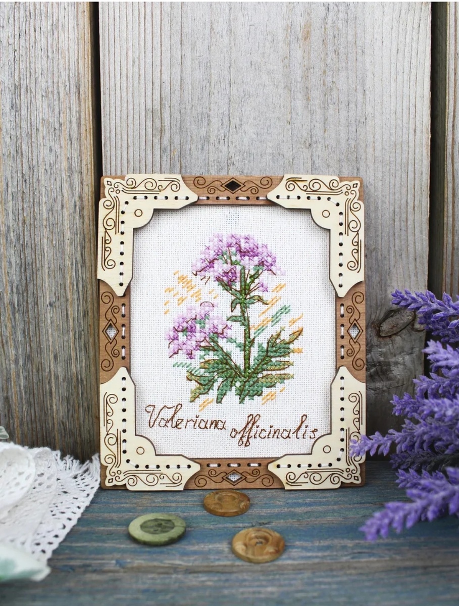 Ни разу не видела валериану в живую. Но верю, что похожа. 