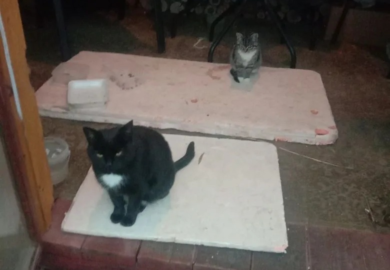 Замерзают на веранде дачи!