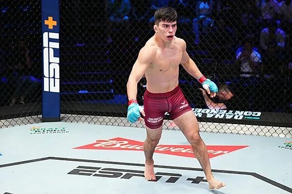 Герои декабря: лучшие выступления месяца в UFC