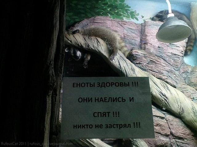 18 смешных объявлений, где русская смекалка бьёт ключом 