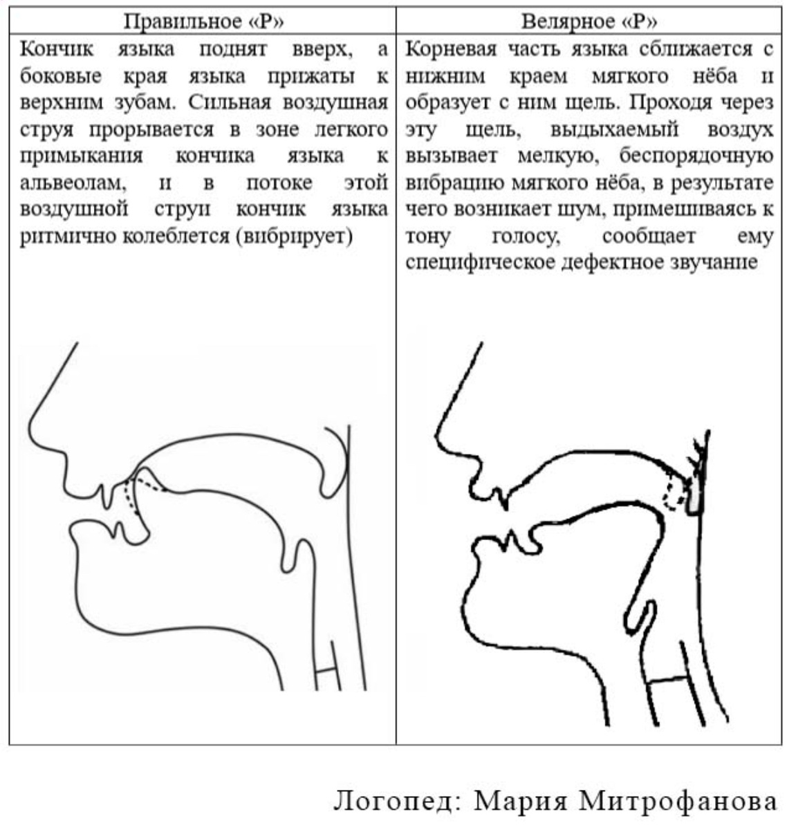Изображение автора статьи 