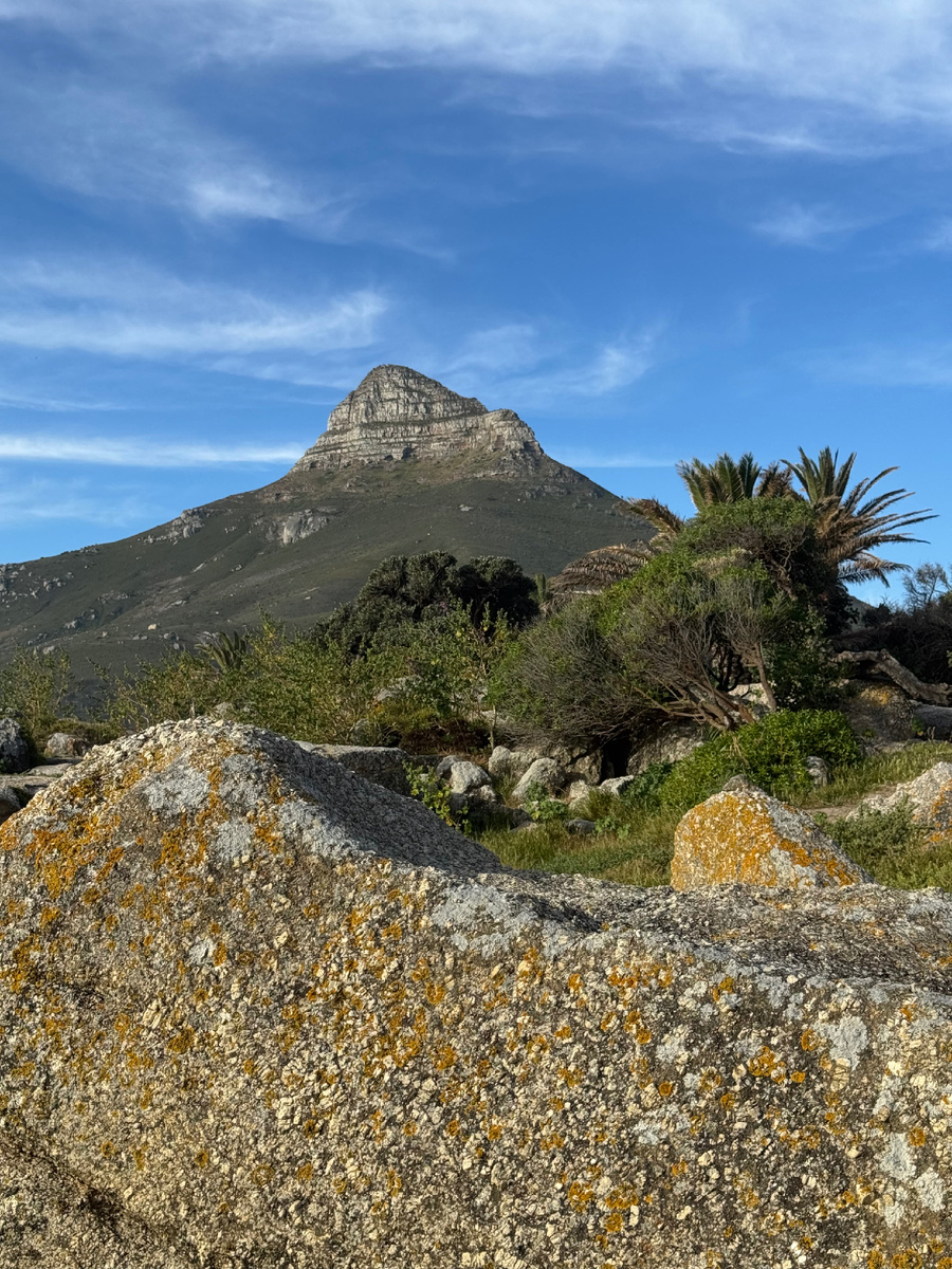 вид с Кемпс-бей