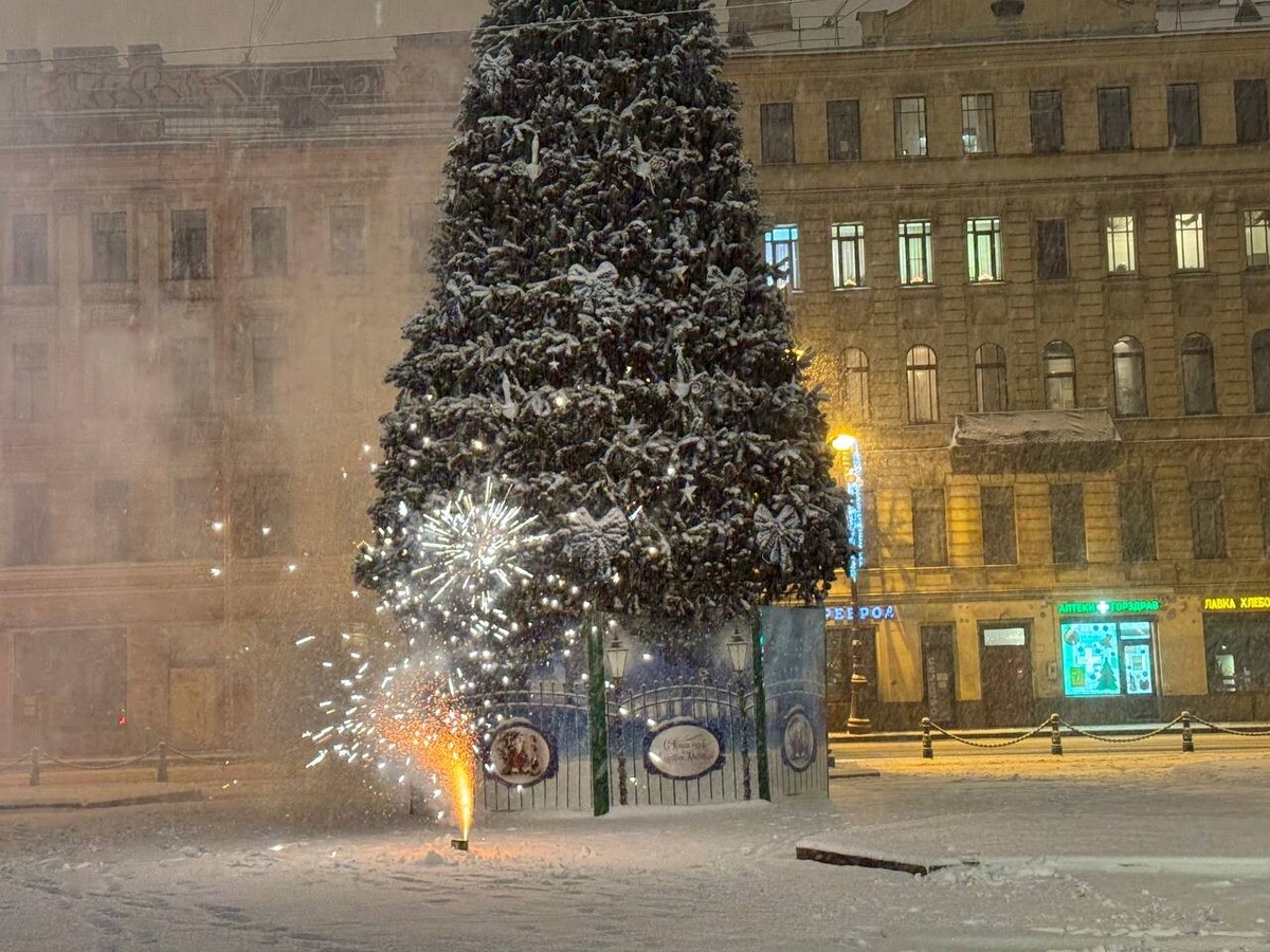     Фото: МК в Питере