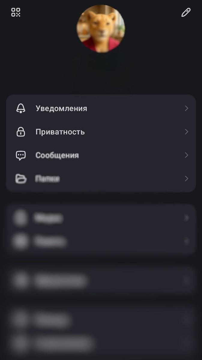     Скриншот: мессенджер Max