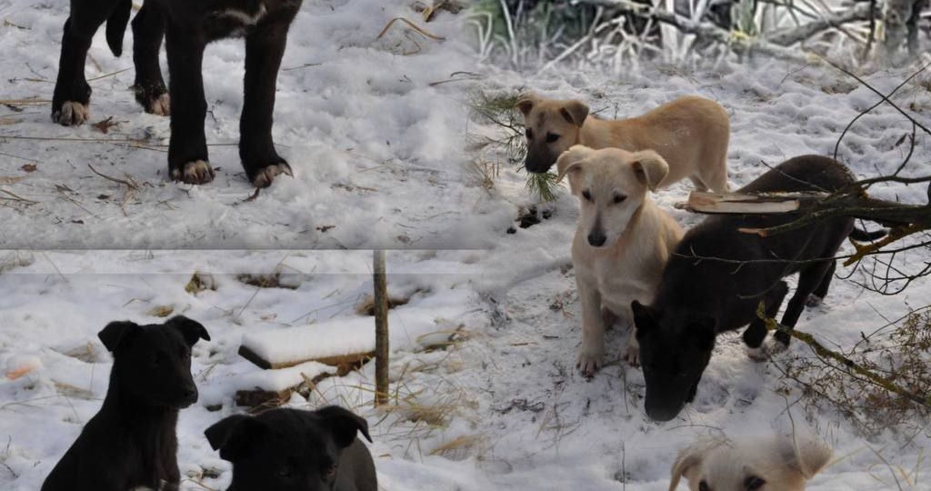 Помогаем информационно