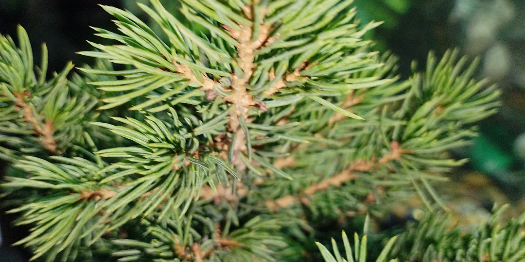 Чего хотят женщины или лучший подарок сделанный своими руками )