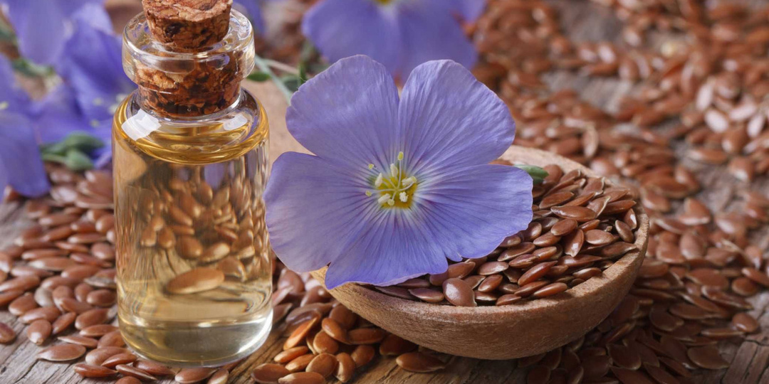 «Золотая капля здоровья»: почему льняное масло — один из самых недооценённых продуктов на вашей кухне