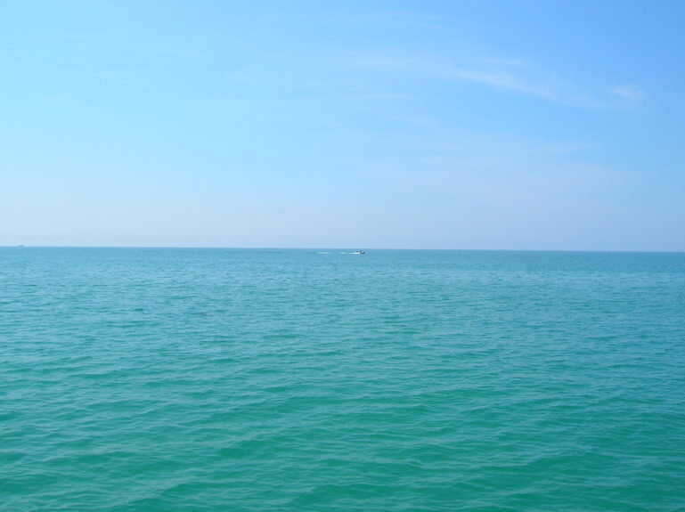    Фото: wiki commons/Anna Novikova/CC BY 2.0 Ирина Моргунова