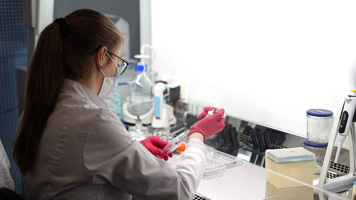 Фото: ИЗВЕСТИЯ/Павел Волков