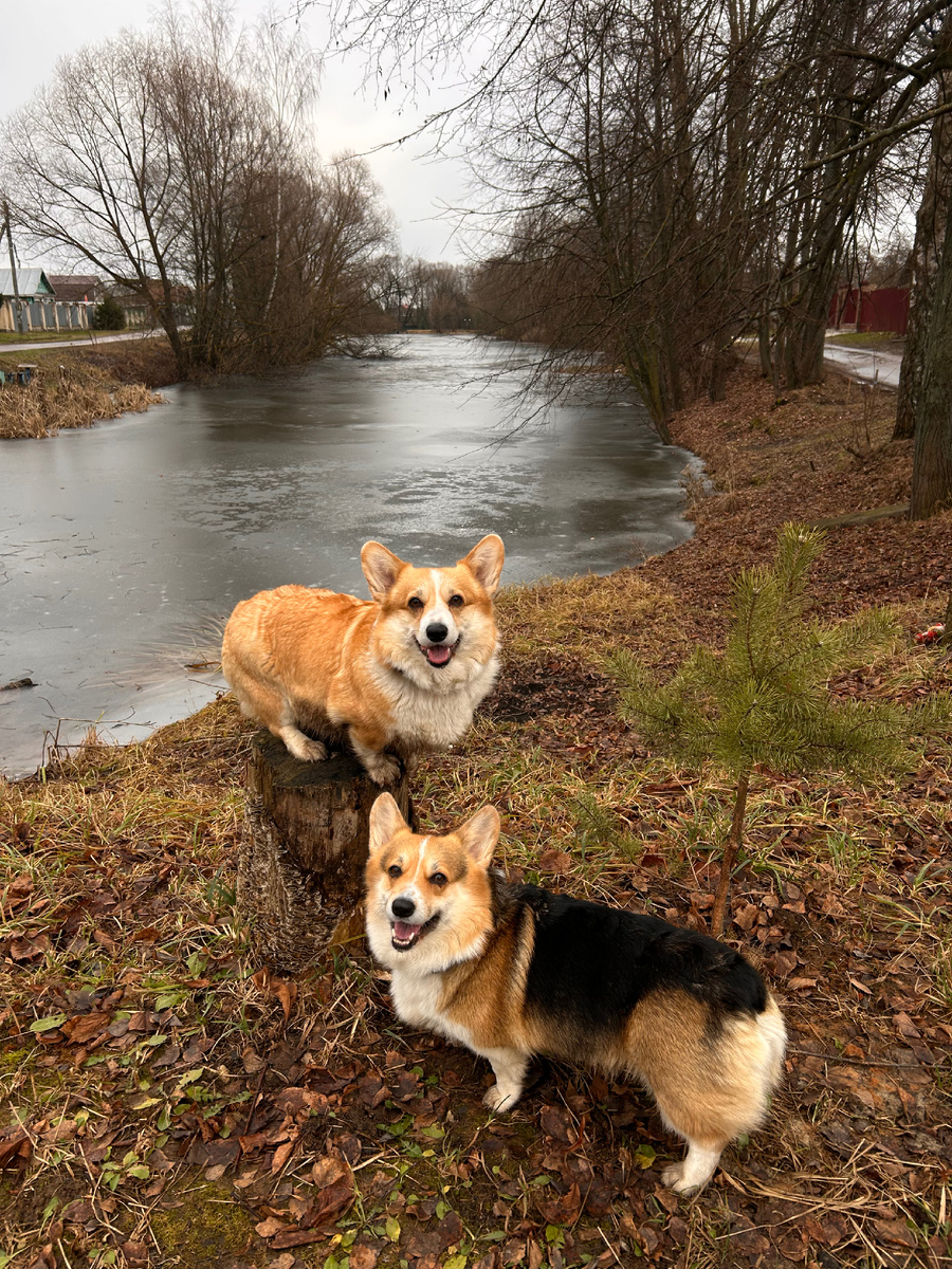 С благодарностью к нашим Подписчикам! 💕