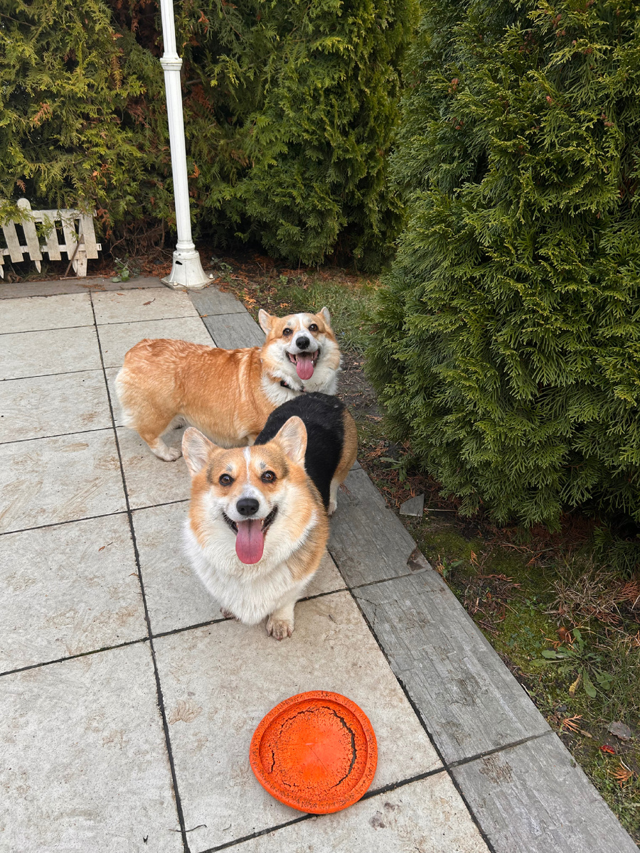 Наши улыбочки только для Вас! 🧡🧡