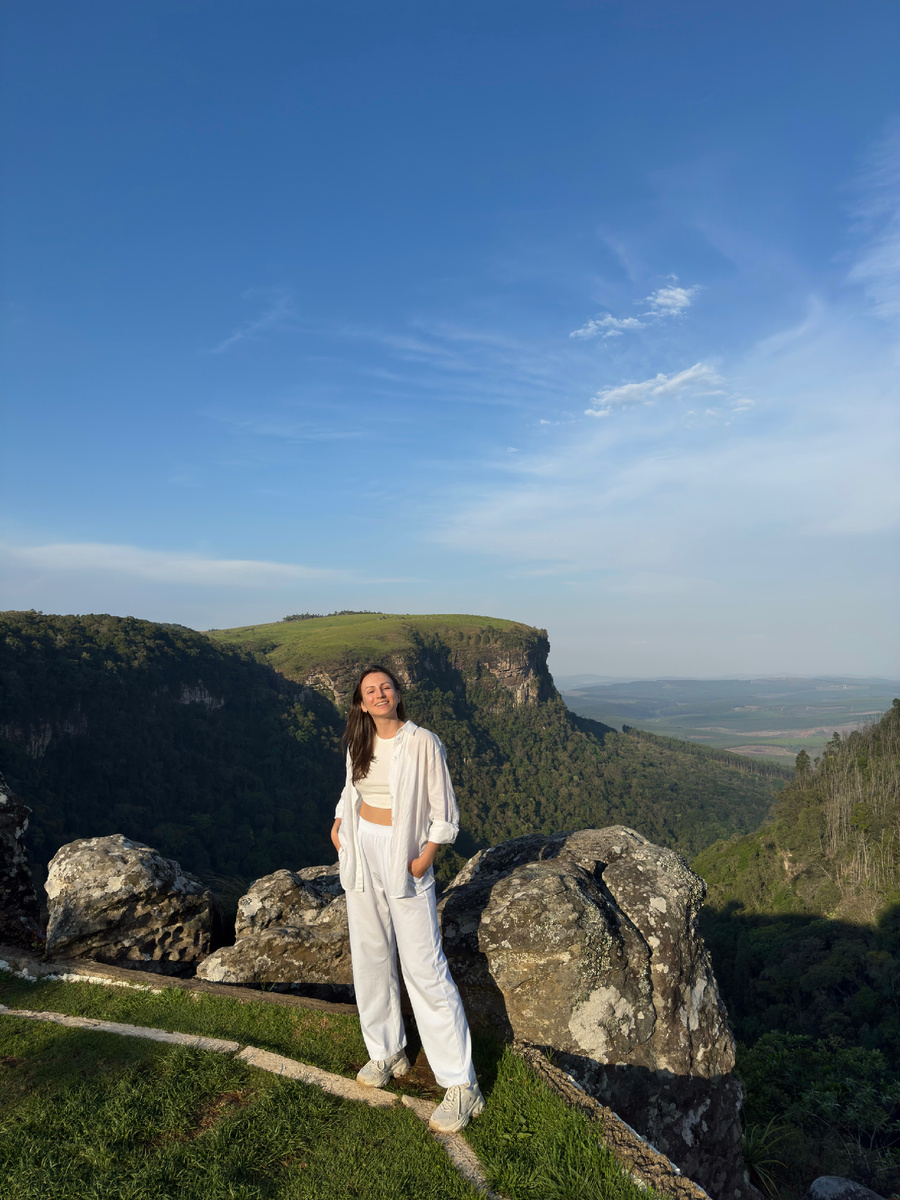 Смотровая в Panorama chalet