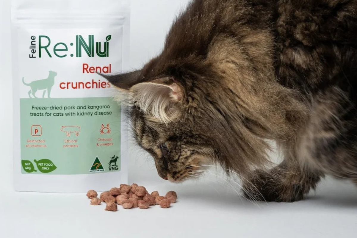 Можно ли давать Renal здоровому коту