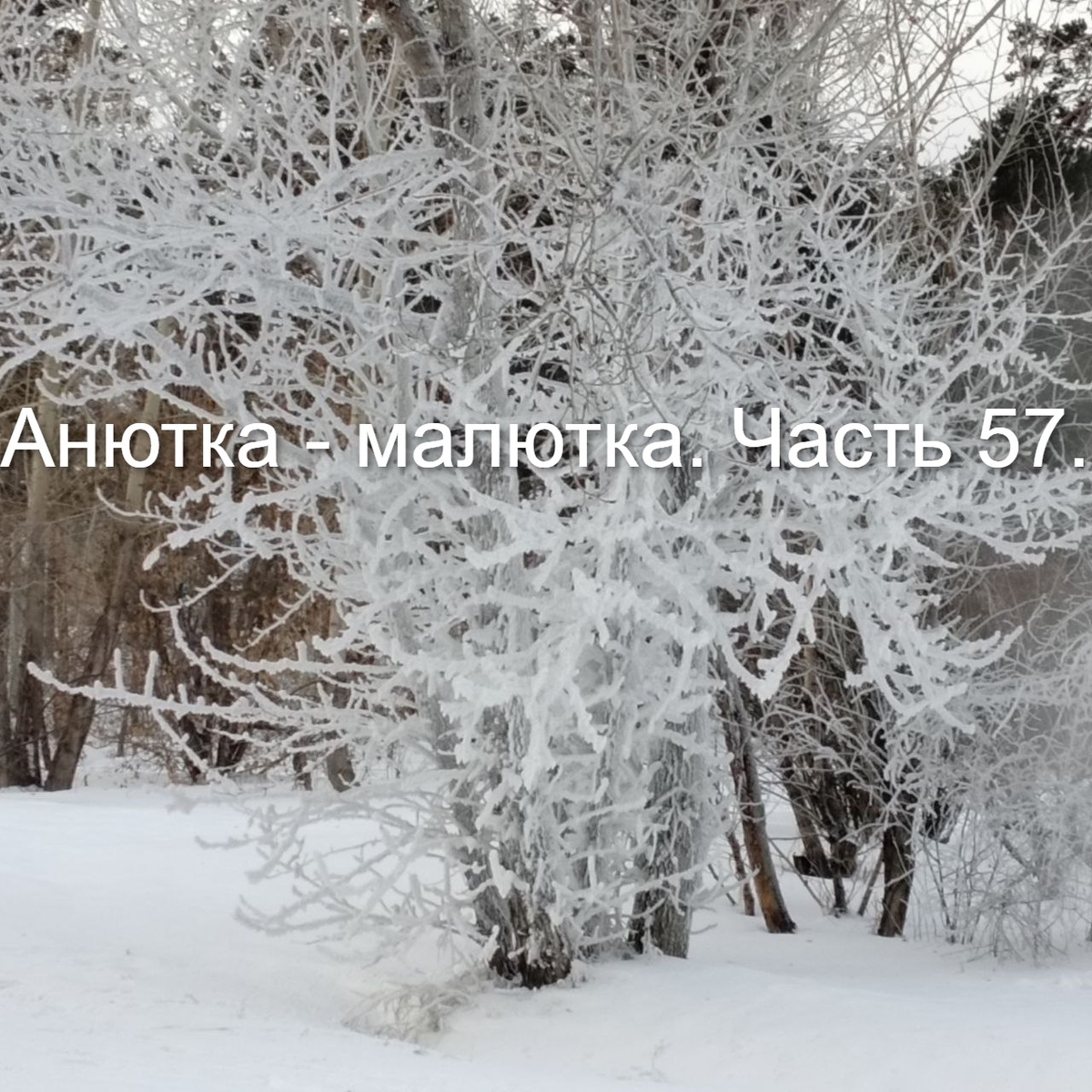 Фото автора.