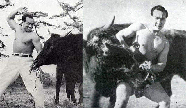 Я, конечно, не Ояма, но эмблема Шотокан на моем кимоно не позволила отказаться от испытания.