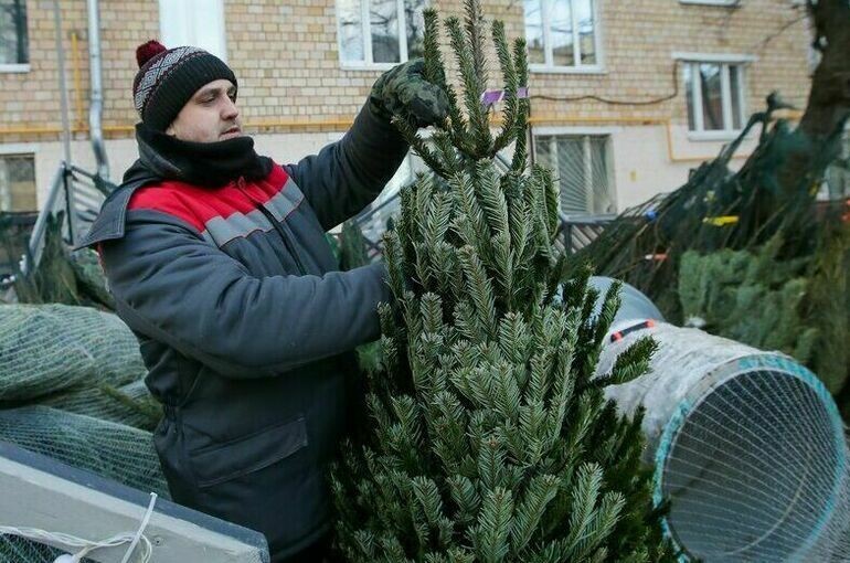   Артур Новосильцев/Агентство «Москва»