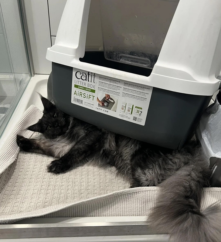 © Prestigious_Tap_6301