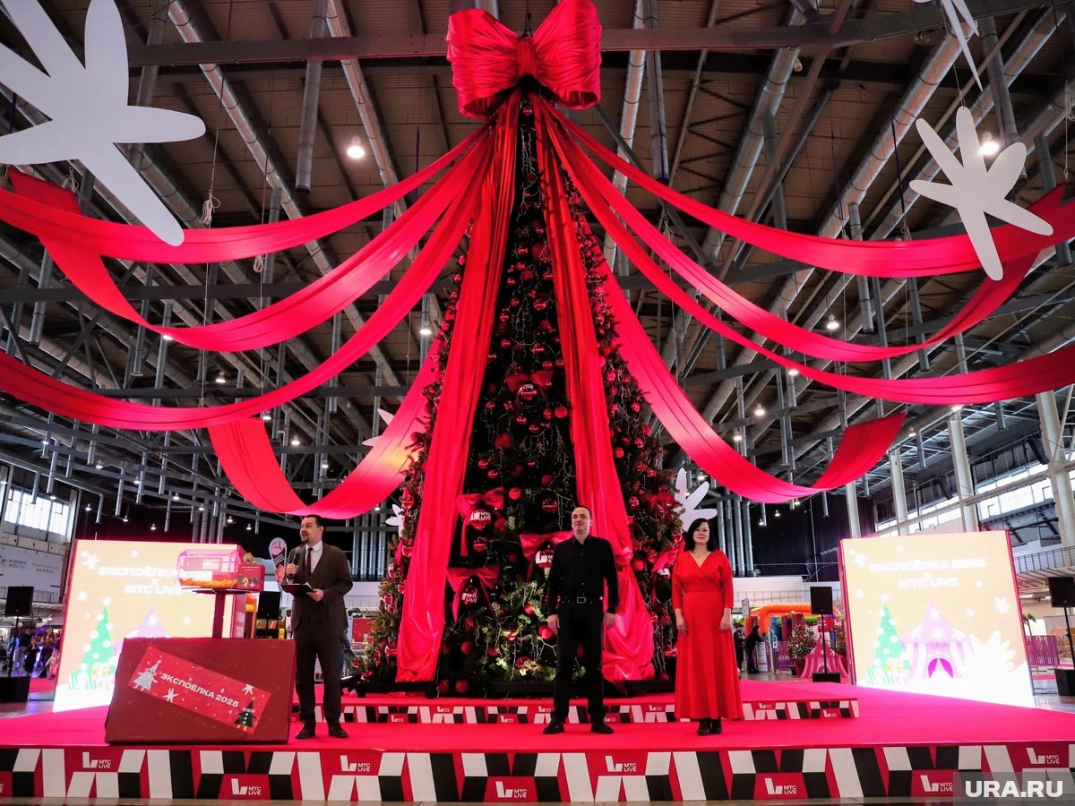     «ЭкспоЕлка» начнет работу 27 декабря