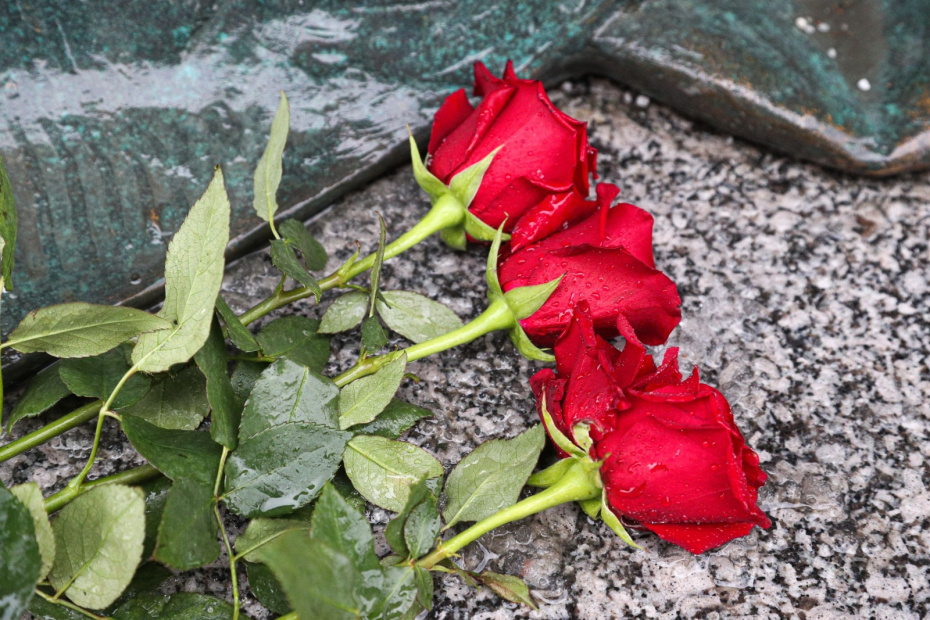    Сергей Булкин/NEWS.ru