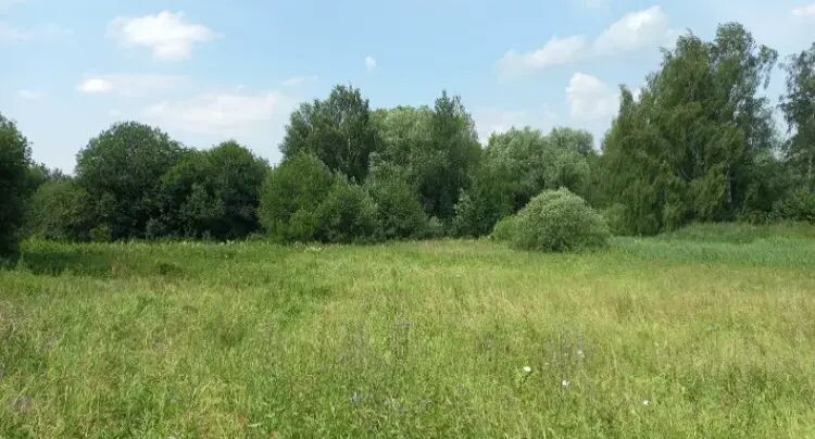    Единый портал торгов МО ЕАСУЗ