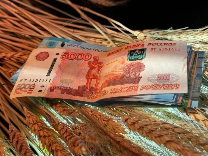 Обложка © Life.ru