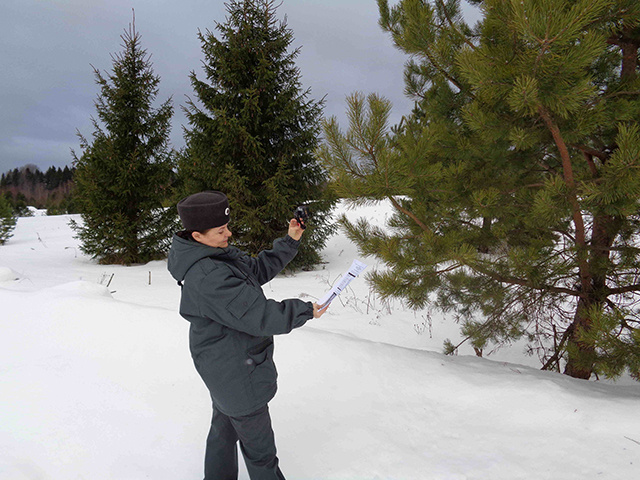 Тверской землевладелец угодья забросил и отдавать не хочет. Изымут