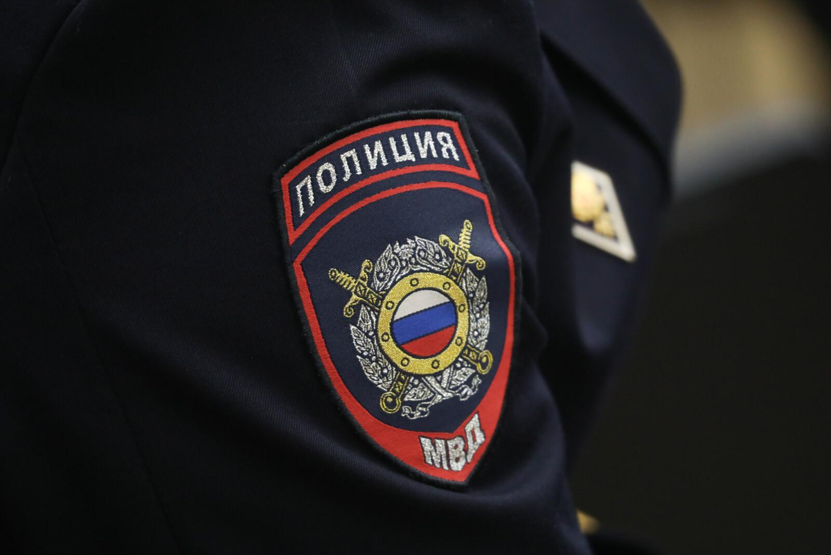 Александр Глуз / «Петербургский дневник»