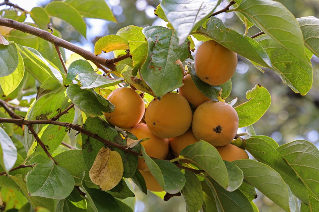 Фото: Михаил Гладчук