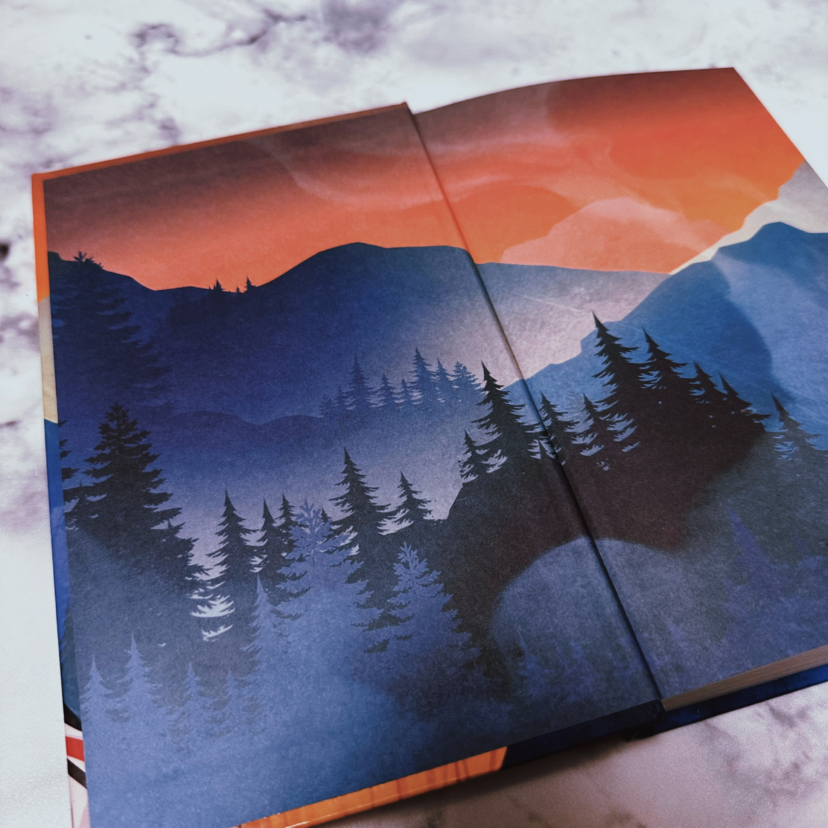 Фото Анны Карповой/Книжная лавка: жизнь любителя почитать