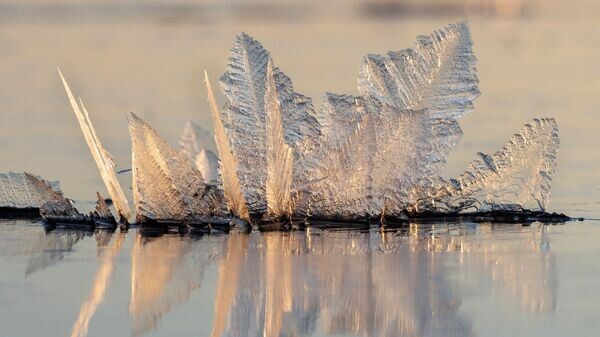    © РИА Новости . Игорь Подгорный