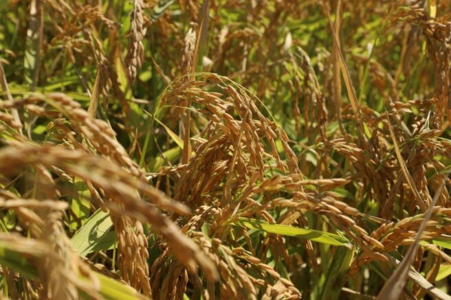    Фото: t.me/yuriy_burlachko