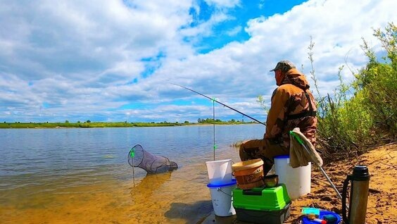 Фото с просторов интернета 