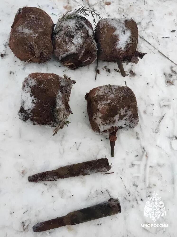     Фото: ГУ МЧС России по Тверской области