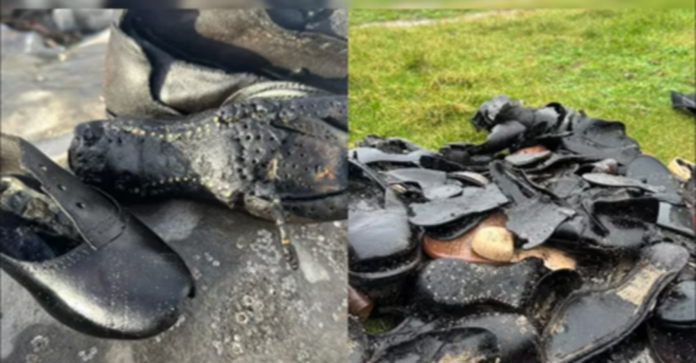     Фото: Beach Academy